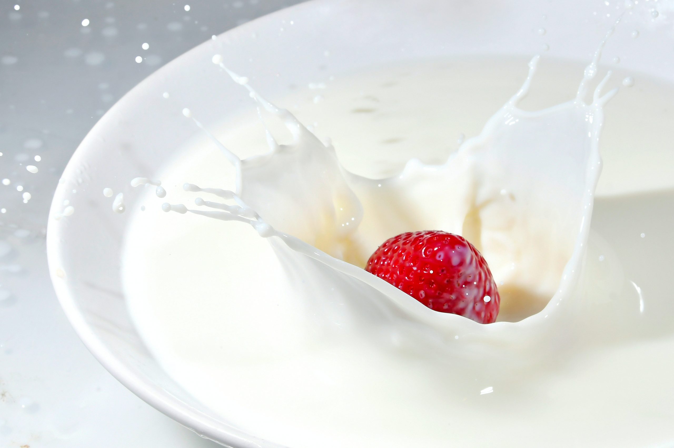 La leche y su importancia en la alimentación escolar